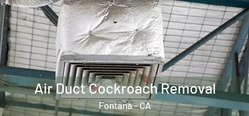  Air Duct Cockroach Removal Fontana - CA