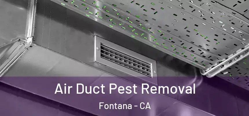 Air Duct Pest Removal Fontana - CA