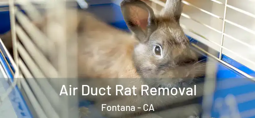 Air Duct Rat Removal Fontana - CA