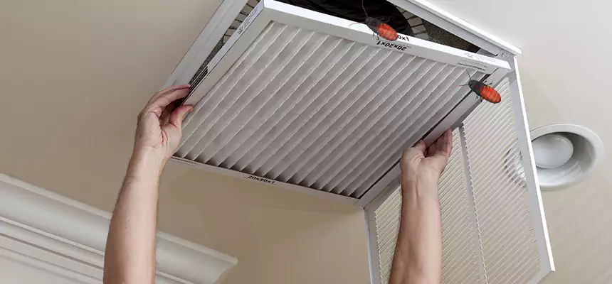 Our Insect Removal from Air Ducts Services in Fontana, CA