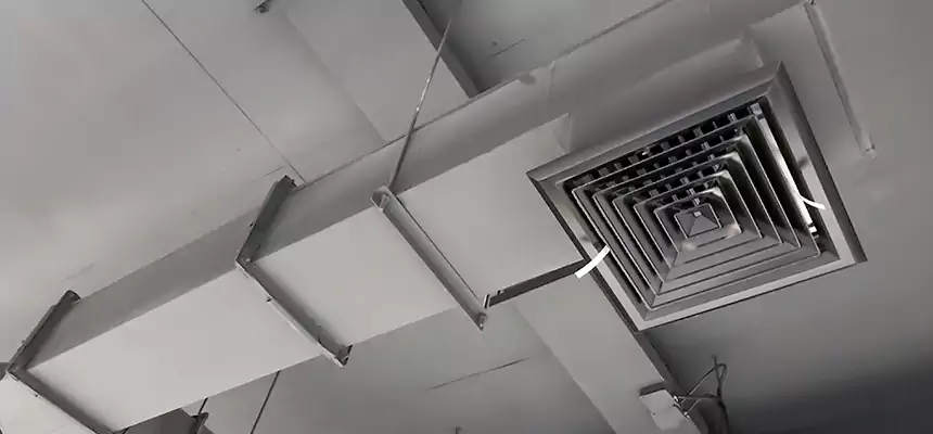 Our Rodent Droppings In Vents Services in Fontana, CA