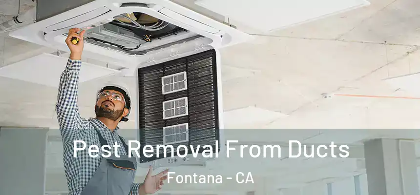 Pest Removal From Ducts Fontana - CA