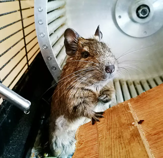 Why Homeowners & Businesses Trust Us Fontana, CA?