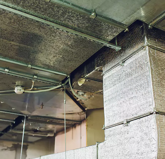 Why Homeowners & Businesses Trust Us in Fontana, CA?